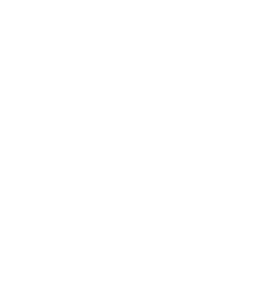 100% trusted serivce logo